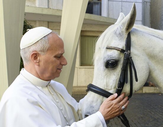 VIDEO Cadoul inedit primit de Papa Leon. „Așa mi-a venit ideea de a-i oferi un frumos pursânge arab”