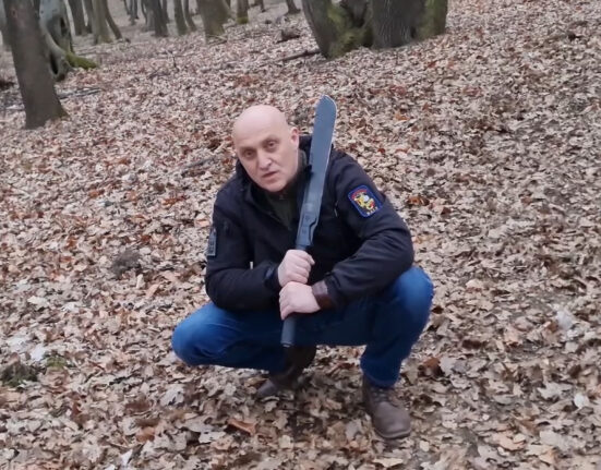 Procurorul general anunţă că se anchetează modul în care armamentul şi banii lui Horaţiu Potra au intrat în România: „Cu sprijinul probabil al unor funcţionari”