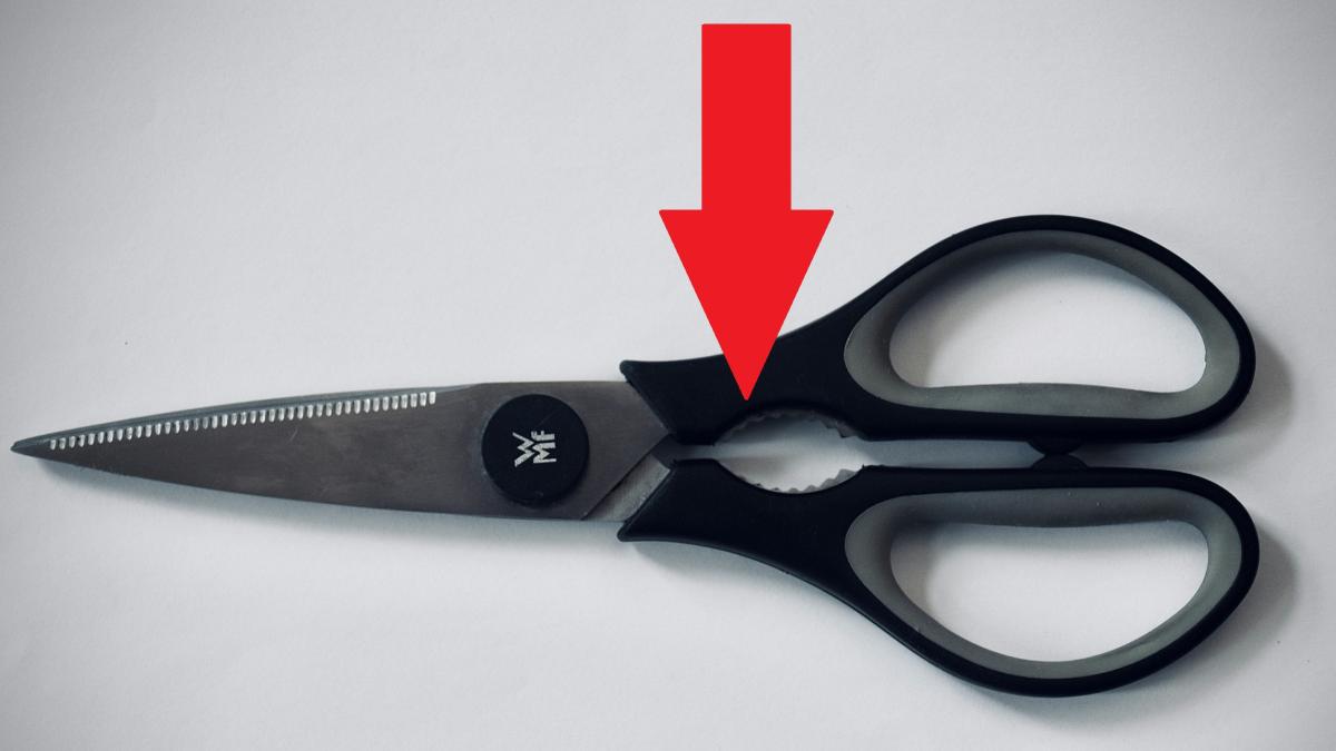 La ce folosesc zimții metalici dintre mânerele foarfecii de bucătărie? Oamenii sunt complet uimiți