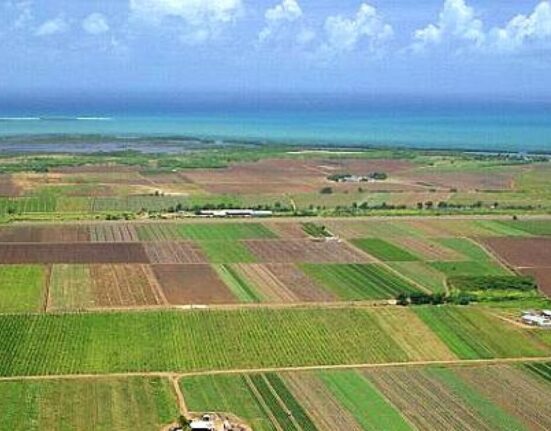 Lovitură pentru agricultori: crește cu 140% baza de impozitare a terenurilor