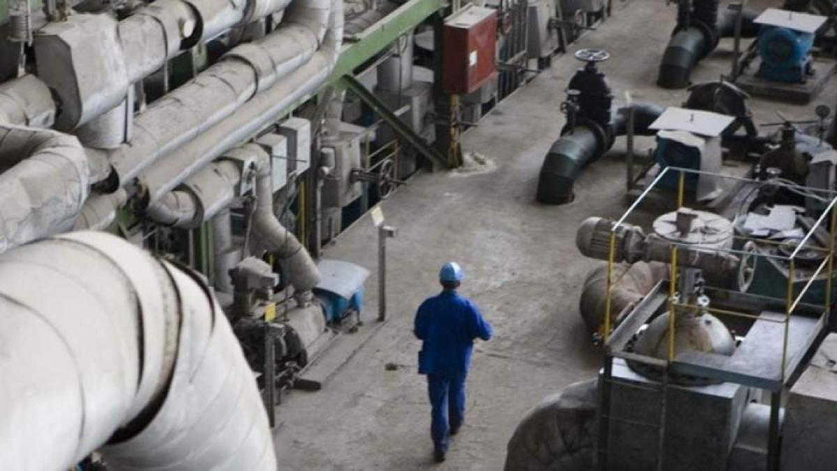 Scandal pe piața muncii din Olanda. Un angajat a lucrat cu contract temporar timp de 13 ani