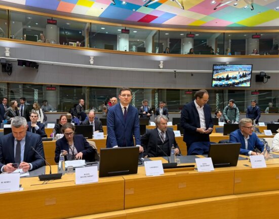 VIDEO Negrescu avertizează în Parlamentul European: România are nevoie de sprijin european pentru a opri tentativa de fraudare a identității