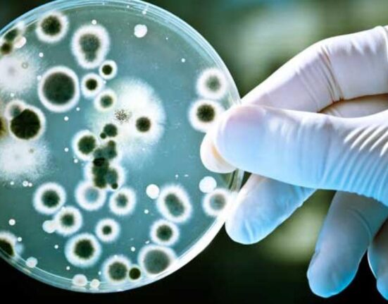 Descoperire: Cercetătorii au reușit să dea ceasul înapoi pentru celulele care produc sânge