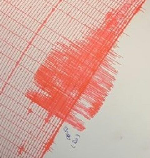 Două cutremure în România, sâmbătă. Unul într-o zonă atipică