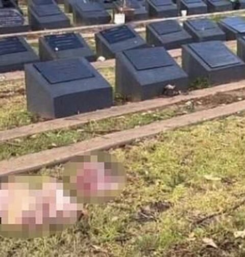 Capete de porc aruncate pe morminte musulmane în Sydney, după atacul terorist de pe Plaja Bondi: „Nu face decât să alimenteze furia, durerea și divizarea”