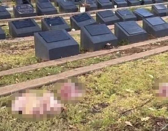 Capete de porc aruncate pe morminte musulmane în Sydney, după atacul terorist de pe Plaja Bondi: „Nu face decât să alimenteze furia, durerea și divizarea”