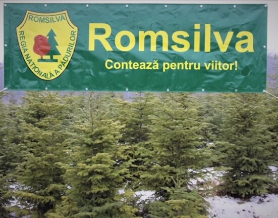 Venituri de aproape şapte milioane de euro din valorificarea produselor nelemnoase, vânătoare şi salmonicultură, la 11 luni pentru Romsilva