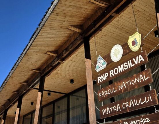 Romsilva își diversifică veniturile: aproape 7 milioane de euro din activități conexe în 2025
