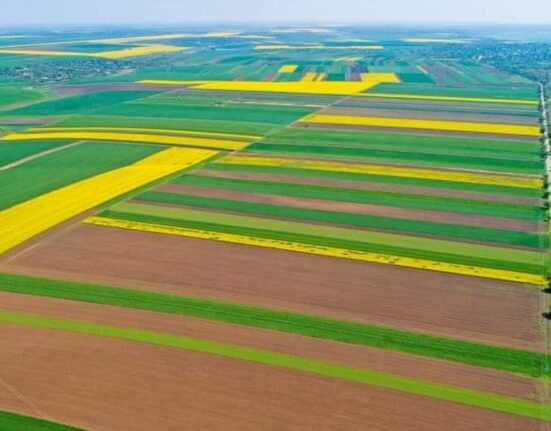 Cum a ajuns pământul agricol din România mai scump decât în Franța