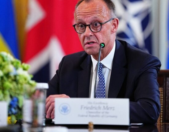 Trei persoane ar fi încercat să saboteze avionul privat al cancelarului german Merz