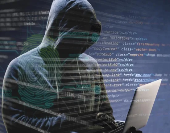 Român condamnat în Franța la 4 ani de închisoare cu executare pentru atacuri cibernetice. Prejudiciu de aproape un milion de euro