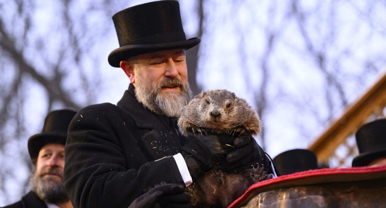 VIDEO Marmota Phil, devenită celebră odată cu filmul „Ziua Cârtiței”, a prezis când se va termina iarna în SUA