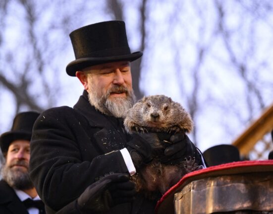 VIDEO Marmota Phil, devenită celebră odată cu filmul „Ziua Cârtiței”, a prezis când se va termina iarna în SUA