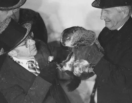 Celebra marmotă care ‘prezice’ vremea și-a văzut umbra de Ziua Cârtiței. Cât ar mai dura iarna