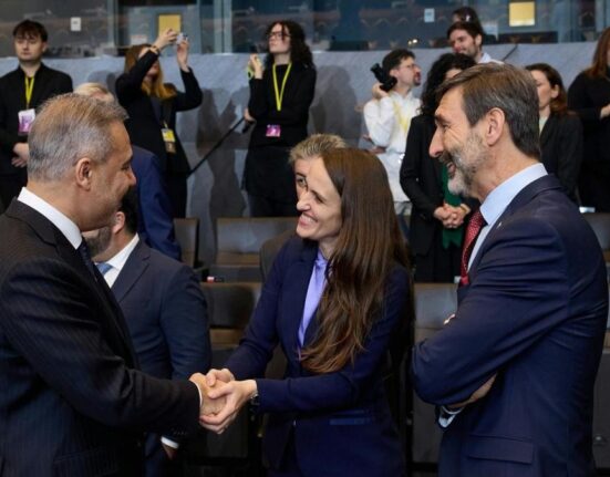 Țoiu, discuții la Washington despre consolidarea securității la Marea Neagră și pe Flancul Estic