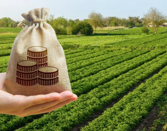 O companie olandeză vrea să plece din România. A scos la vânzare 800 de hectare de terenuri agricole și o fabrică în zona Sebeș