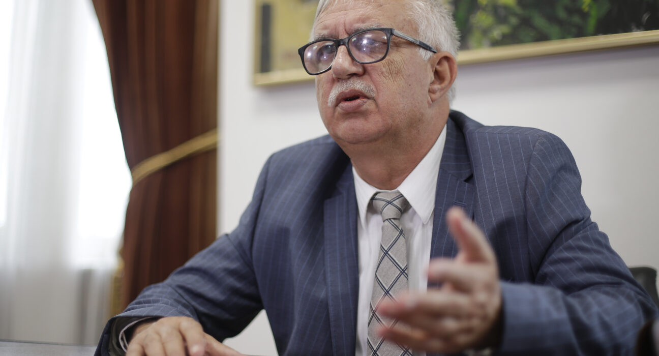 „Va dura cam doi ani amânarea”. Un fost președinte CCR explică ce se întâmpla dacă demersul ÎCCJ are succes