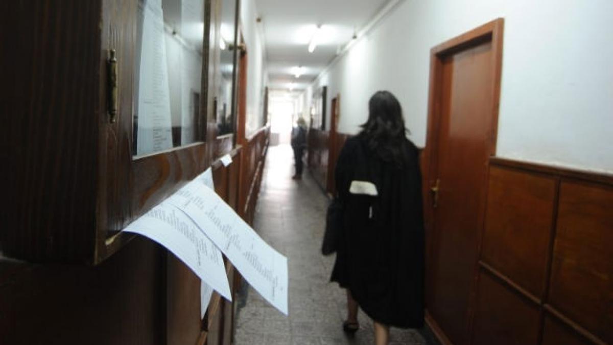 Judecătoria Sectorului 3, infestată cu ploșnițe din 2025. Dezinsecțiile sunt realizate în continuare