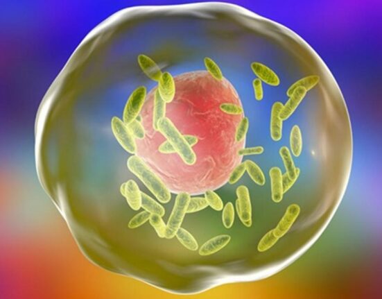 Revoluție în oncologie: Bacterie modificată genetic detectează și tratează tumorile