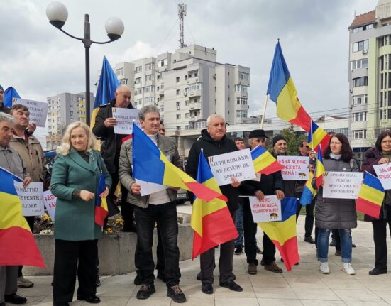 Apicultorii  nu mai rabdă: „Nu se poate ca al doilea mare producător din Europa să consume 60% miere din import”