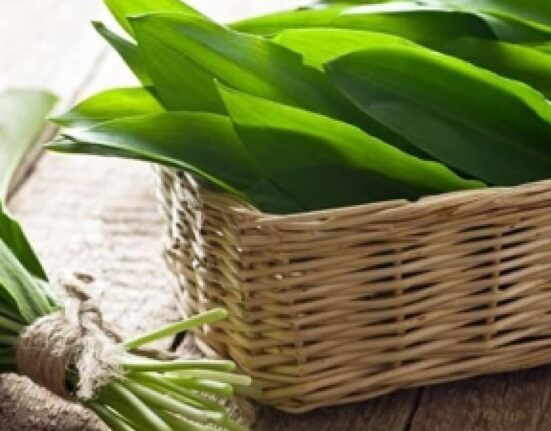 Primăvara în farfurie: Cum să prepari salată de ouă fierte cu leurdă și brânză