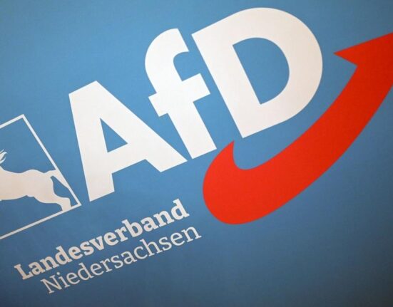 Avertisment: AfD, un risc de securitate pentru UE 