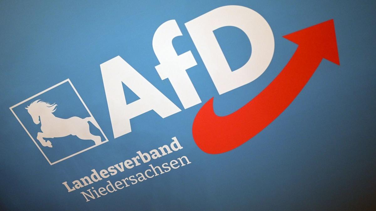 Avertisment: AfD, un risc de securitate pentru UE 