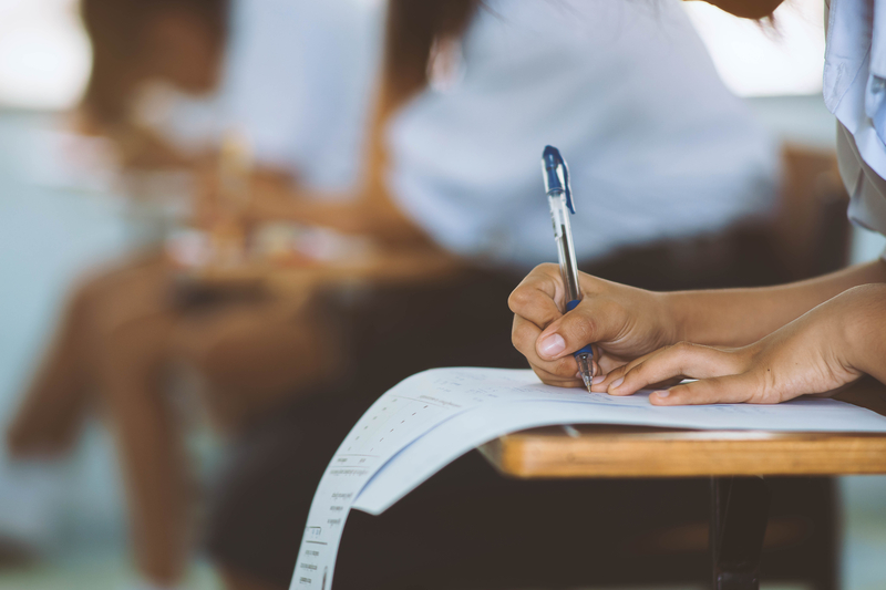 Rezultate Simulare Evaluare Națională 2026: Elevii află în scurt timp rezultatele / Notele pot fi trecute și în catalog
