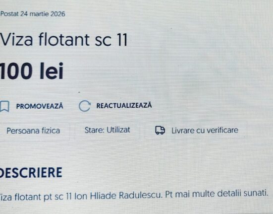 Cum scăpăm de vizele de flotant? „Nu există școli atât de bune încât să merite să-ți crești copilul în trafic”