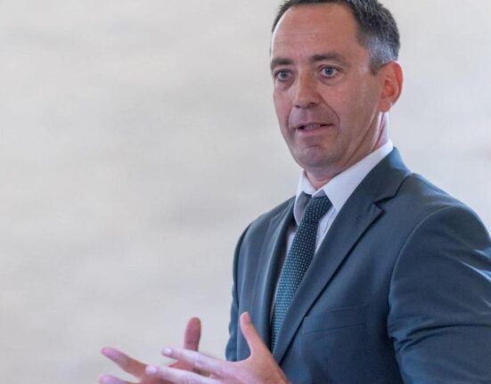 UDMR amână decizia privind o colaborare cu premierul desemnat Adrian Veștea pentru a nu face rău PNL