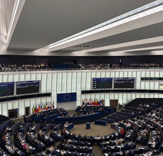 Criză identitară inclusiv la mâncare în UE: Parlamentul European interzice termenul „friptură pe bază de plante”
