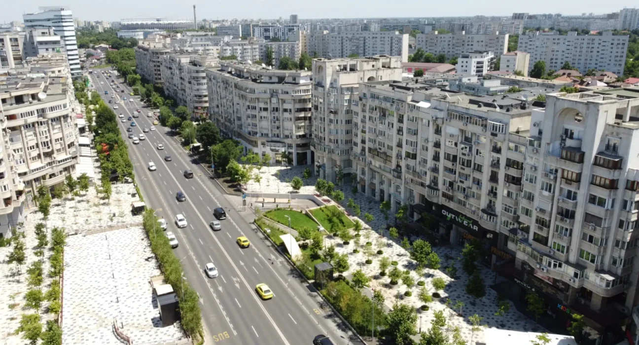Invazie de fluturi în București. Ce spun experții despre acest fenomen neobișnuit