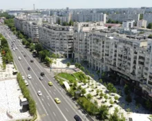 Invazie de fluturi în București. Ce spun experții despre acest fenomen neobișnuit