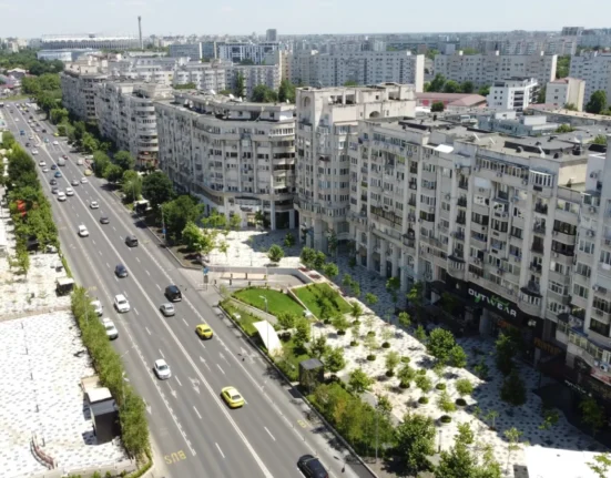 Invazie de fluturi în București. Ce spun experții despre acest fenomen neobișnuit