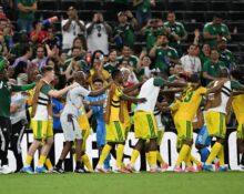 Primele reacții după surpriza reușită de Africa de Sud: ”Este incredibil”
