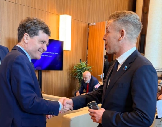 Președintele Nicușor Dan, întâlnire cu premierul ungar Péter Magyar după summitul NATO