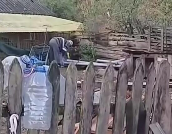 Un bătrân a ucis o pisică. Acum este cercetat penal