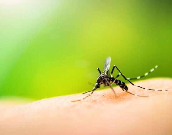 Atenție la căpușe și țânțari! De ce crește numărul infecțiilor în fiecare an