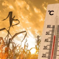 Meteorologii ANM au emis prognoza pe termen lung: Abia acum urmează valurile de caniculă și vară cu adevărat fierbinte