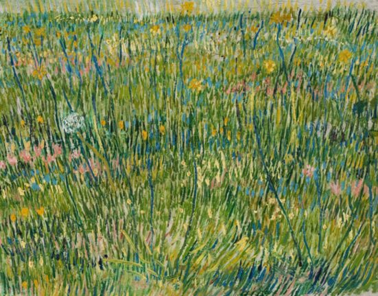 „Coin d’herbe”, pictat de Van Gogh, ascunde un chip
