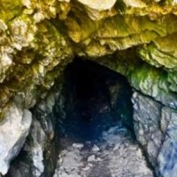 Descoperire majoră: 16 specii necunoscute au ieșit la lumină din această peșteră