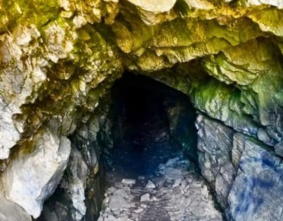 Descoperire majoră: 16 specii necunoscute au ieșit la lumină din această peșteră
